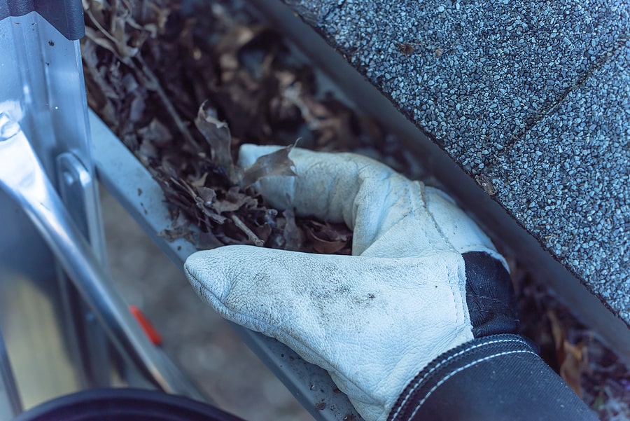 Cleaning the gutter