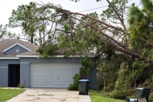 Tree on top of house