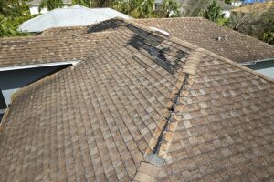 Roof Shingles